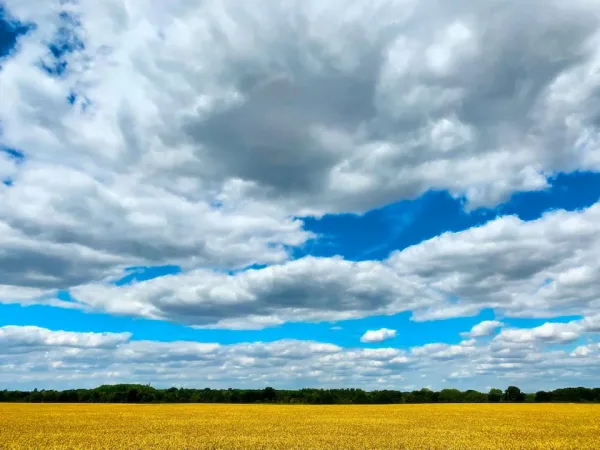 Hertfordshire countryside fields near Hemel Hempstead under a blue summer sky